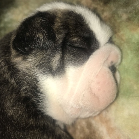 5 Star Seller - Picture 6 of 10